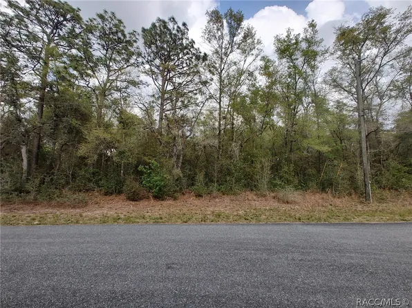 10653 N Malva Way, Citrus Springs, FL 34434