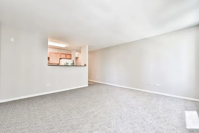 345 N La Salle Dr #609 — Photo 5