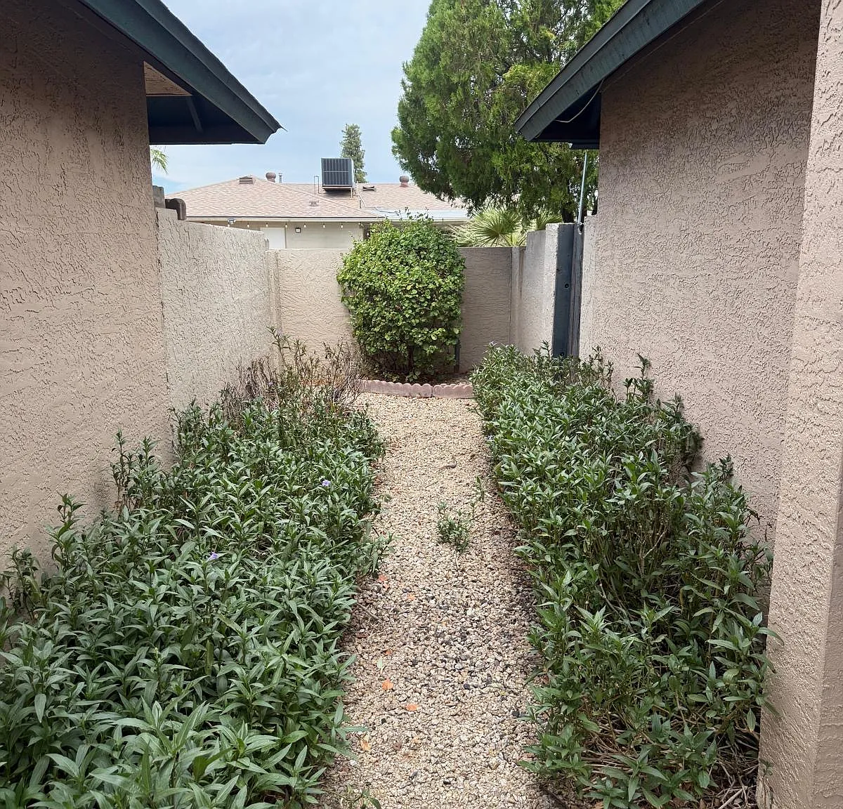 2 bed, 1350 sqft, $1,600 — Photo 2