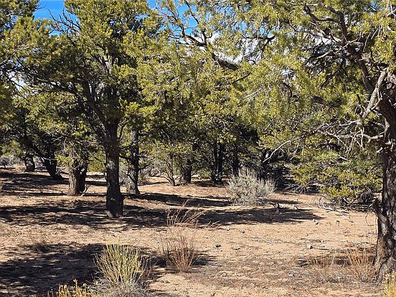 4th image of Lot 409 Williams Road