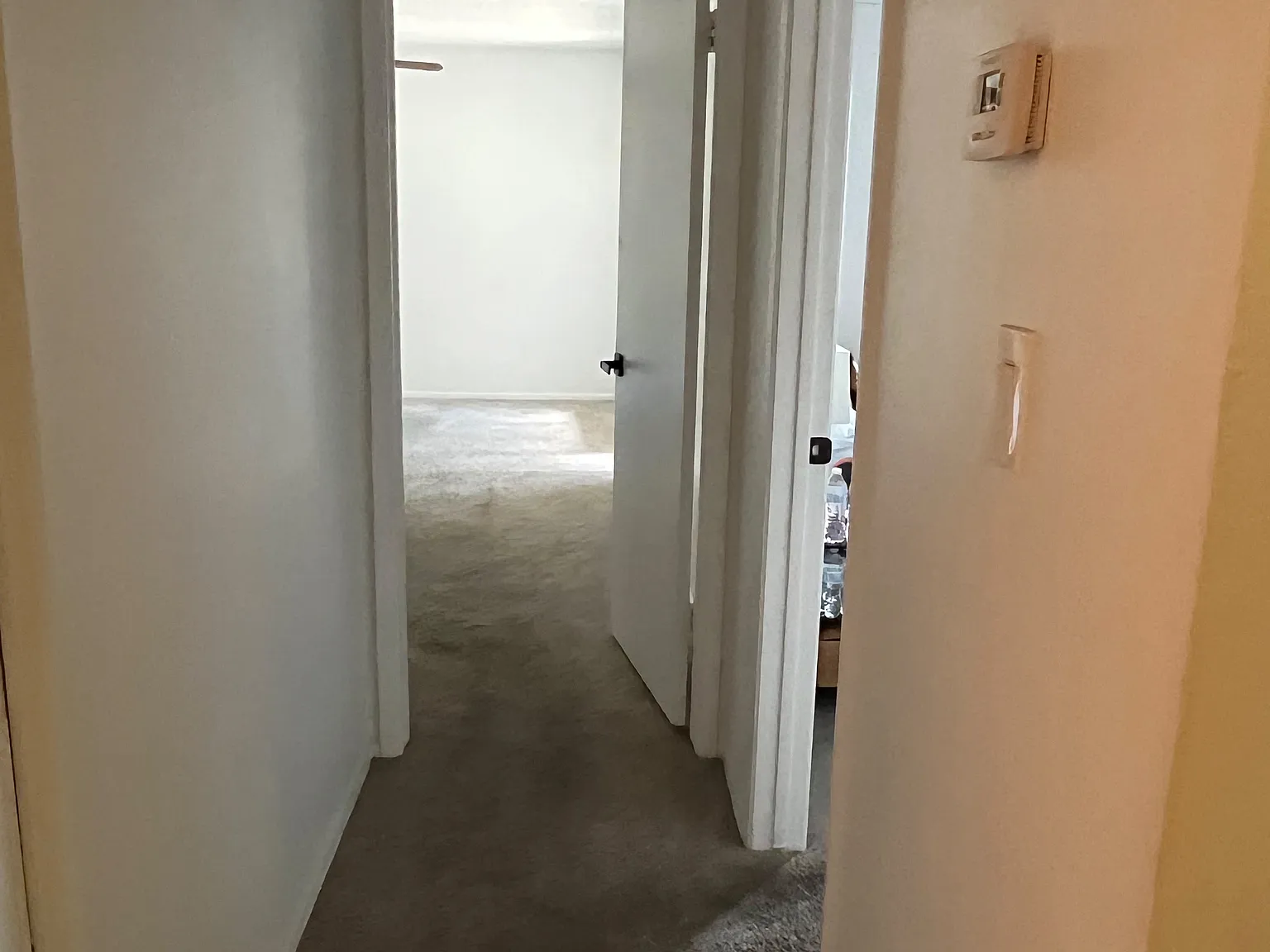 3 bed, 1230 sqft, $2,250 — Photo 4