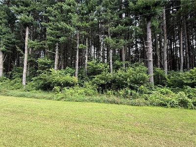 Parcels 0004 & 0006 180th Avenue, Mondovi, WI, 54755