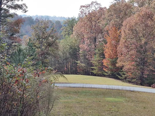 34/35 Wolf Creek Rd, Mineral Bluff, GA 30559