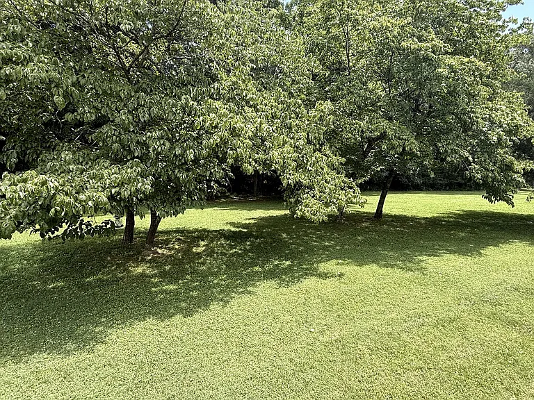 215 Woodson Dr — Photo 22