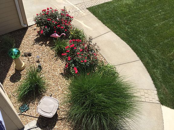 Back yard area