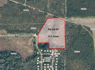 PARCEL 7 E Hillsborough Ave, Florahome, FL 32140
