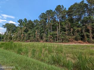 4498 Mercer Mill Brown Marsh Rd, Clarkton, NC 28433