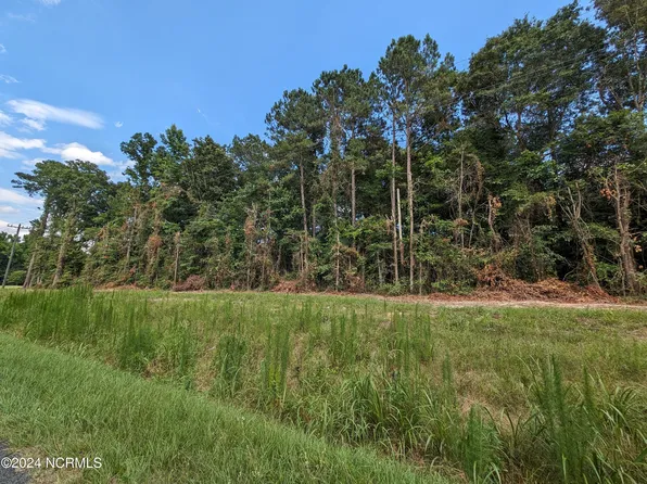 4498 Mercer Mill Brown Marsh Road, Clarkton, NC 28433