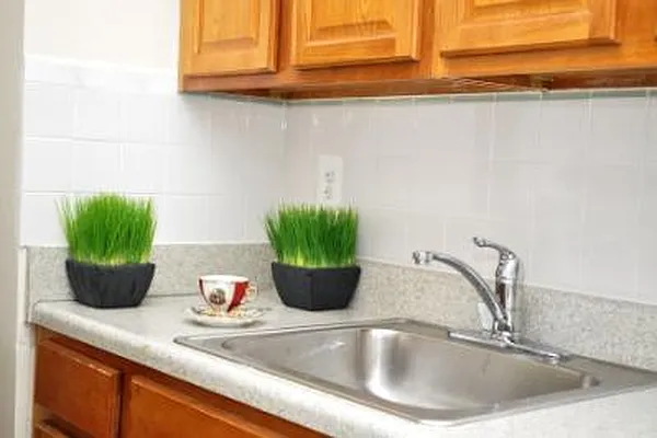 Rented by Corcoran | media 1