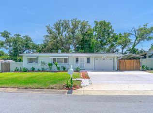 58 McAlister Dr, Ormond Beach, FL 32174