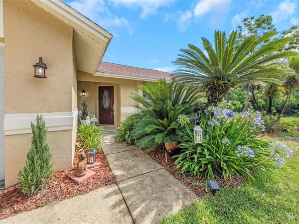 2437 HAWK AVENUE, PALM HARBOR, FL 34683