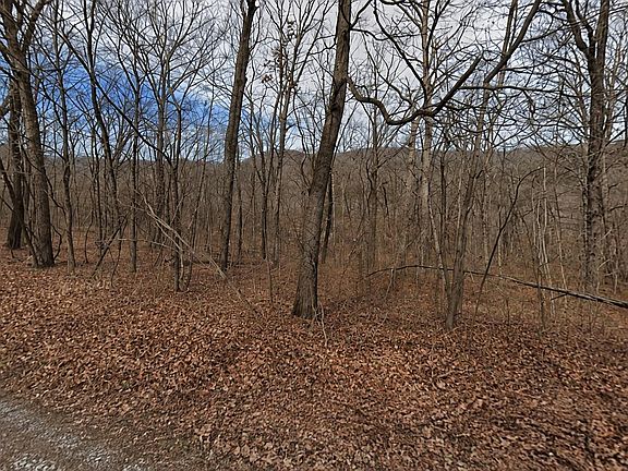 3rd image of LOT 5 Wildcat Ln