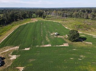 Childs Rd, Troy, AL 36081