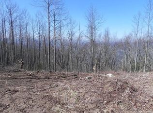 9999 Ebby Ridge Dr #335, Fairview, NC 28730