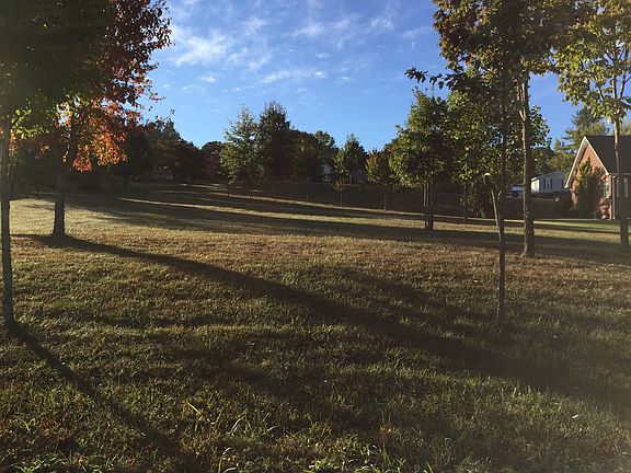 Trees planted for driveway