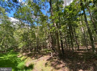 Lakeview Dr, Berkeley Springs, WV 25411