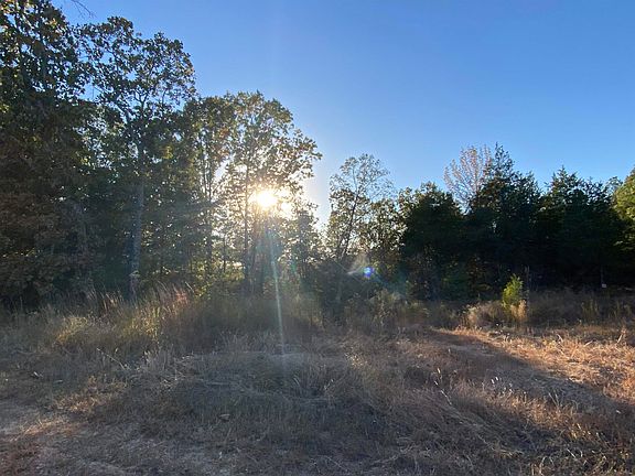 3rd image of 33.32 Acres Green Dr