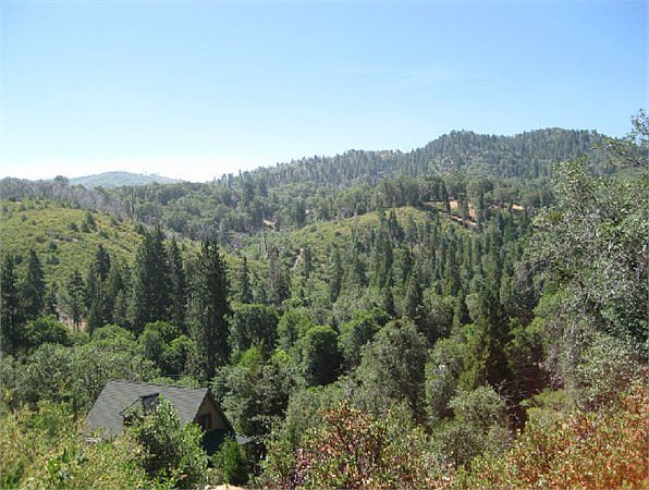1st image of Pine Dr