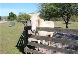 11843 Pasco Trails Blvd, Spring Hill, FL 34610