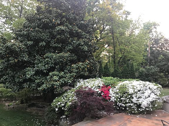 A beautiful private backyard