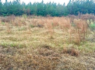 34123 Ambrose Hoover Rd, Tickfaw, LA 70466