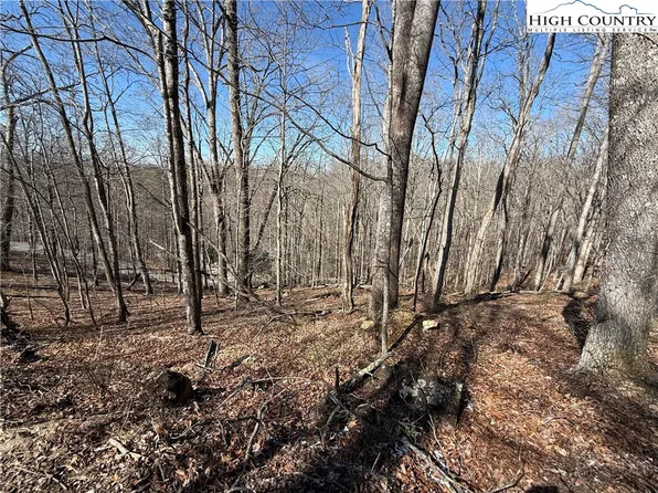 Lot 45 Happyland Road #45, Piney Creek, NC 28631