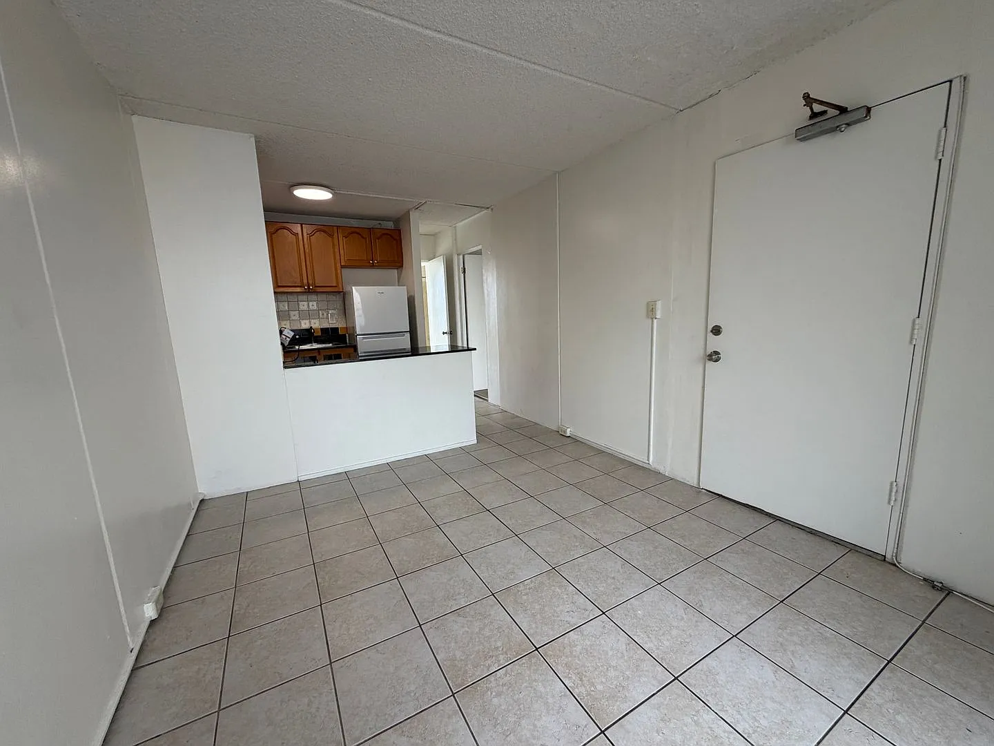 1315 Heulu Street — Photo 1