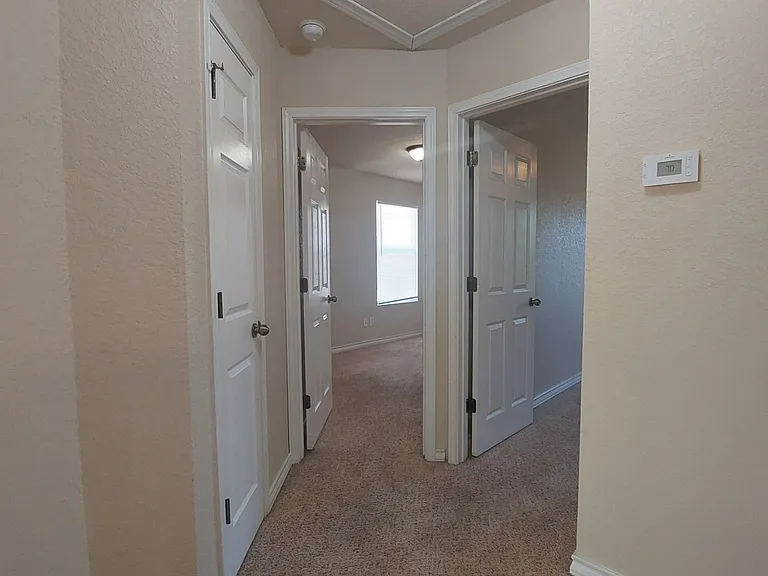 4916 Appleseed Ct — Photo 18