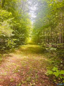 County Road 127, Gaylesville, AL, 35973