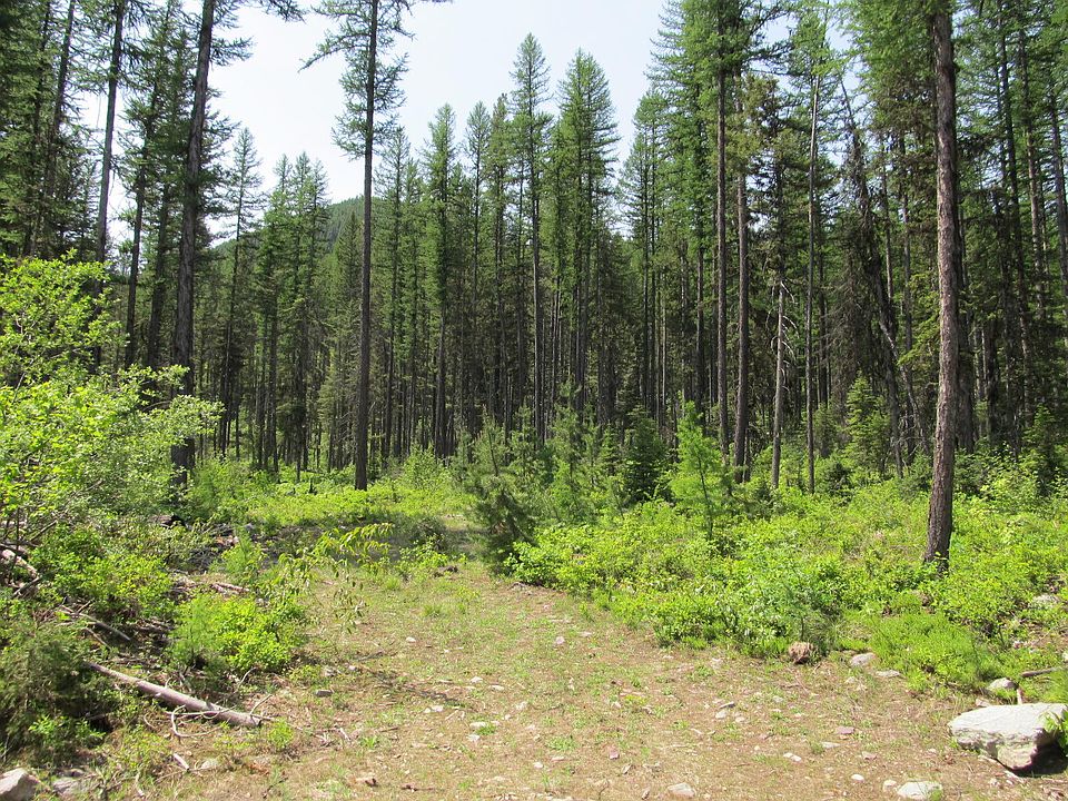 1st image of 14875 Highway 2 E