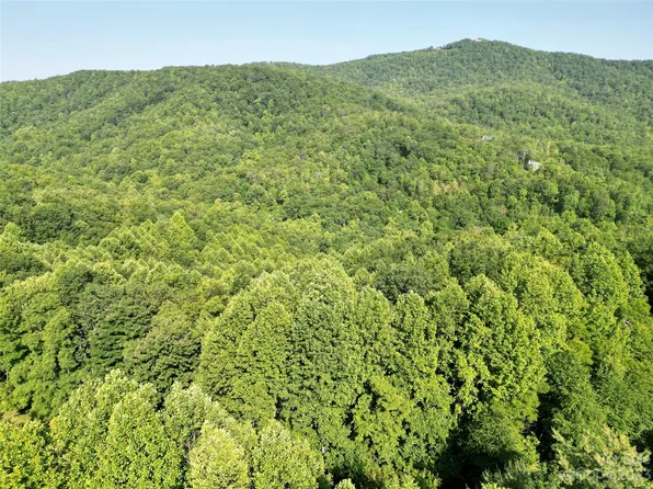 405 Feather Falls Trl #21, Black Mountain, NC 28711