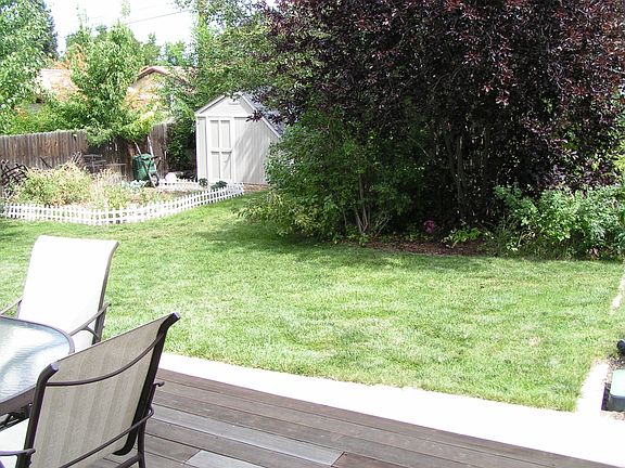 Other half of backyard