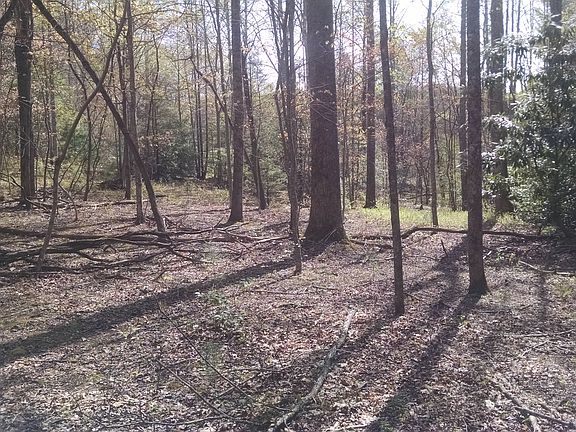 More level land with stream