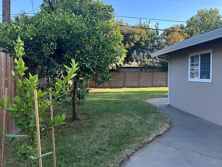 Bedroom view of Lemon tree