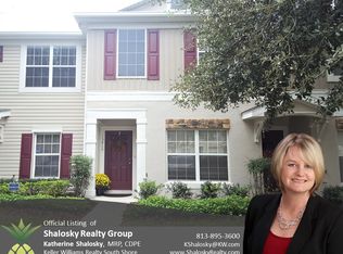 15815 Fishhawk Falls Dr, Lithia, FL 33547