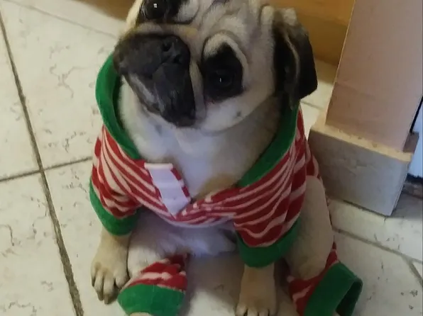 7000 Blvd East image 46 of 46