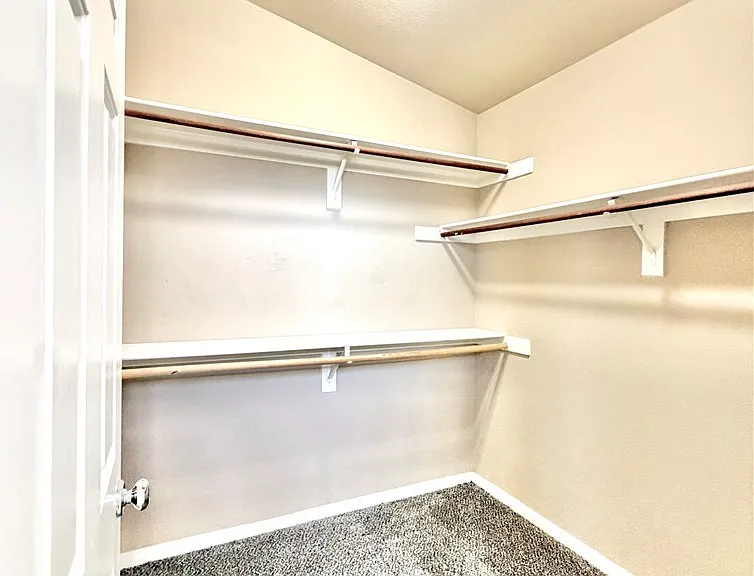 10087 Yellow Canary Ave — Photo 24