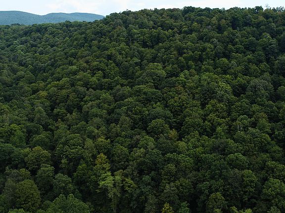 5th image of Big Run Rd