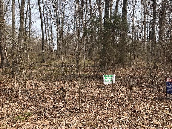 2nd image of 106 Bluebird Dr