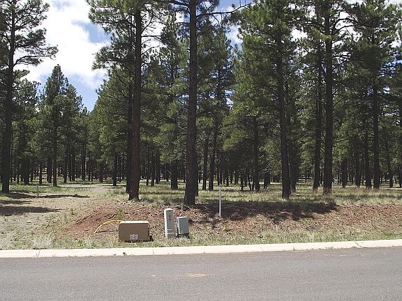 5th image of 522 S Highland Meadows Dr