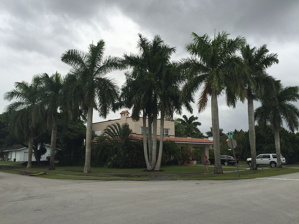 Historic palms wrap home 