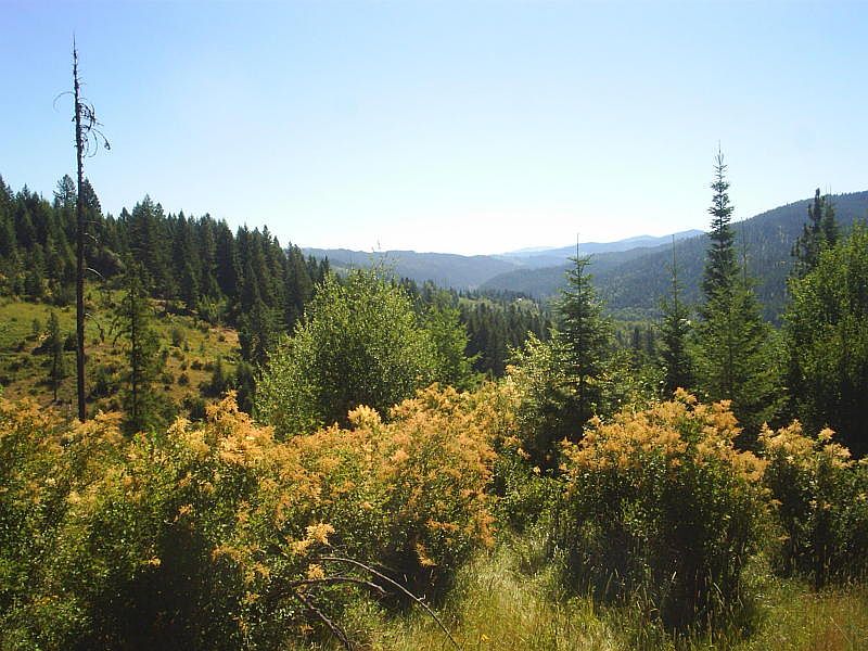 2nd image of 20.68 Acres Casita Ln