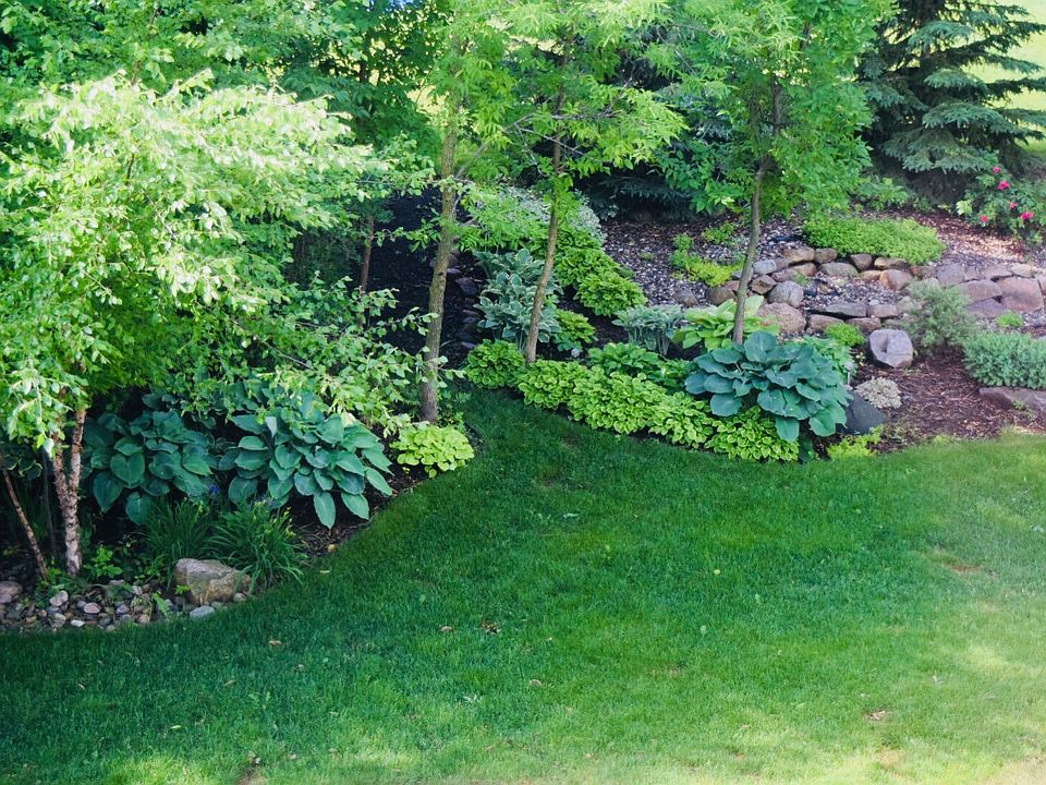 Mature landscaping
