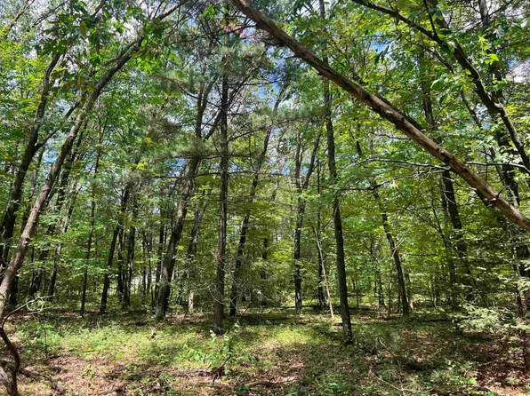 W5315 Ann Ct, Shawano, WI 54166