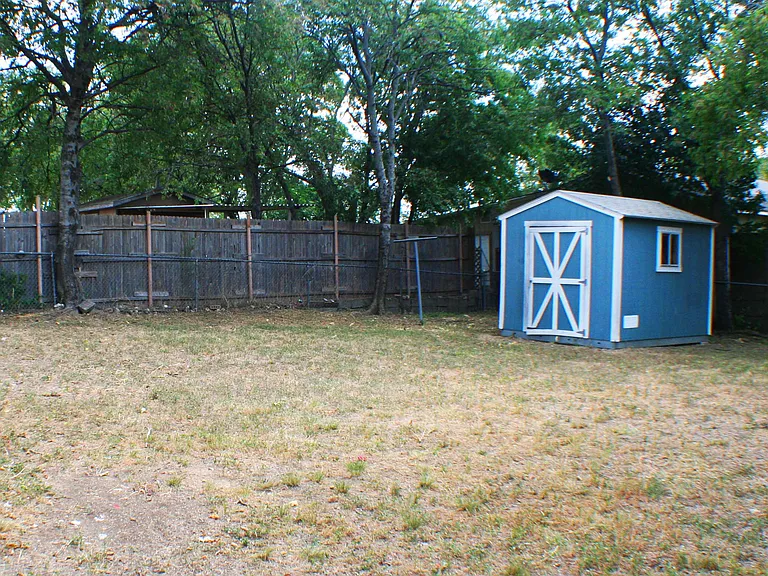 Backyard_11062015