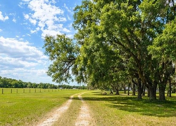 3rd image of 14853 117th Rd