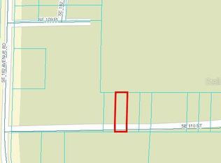 SE 110th St LOT 20, Ocklawaha, FL 32179