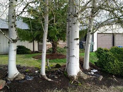 1755 Spicer Wayside SE, Albany, OR, 97322