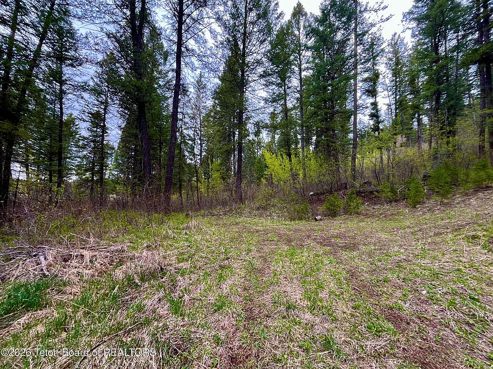 1st image of Lone Star Rd