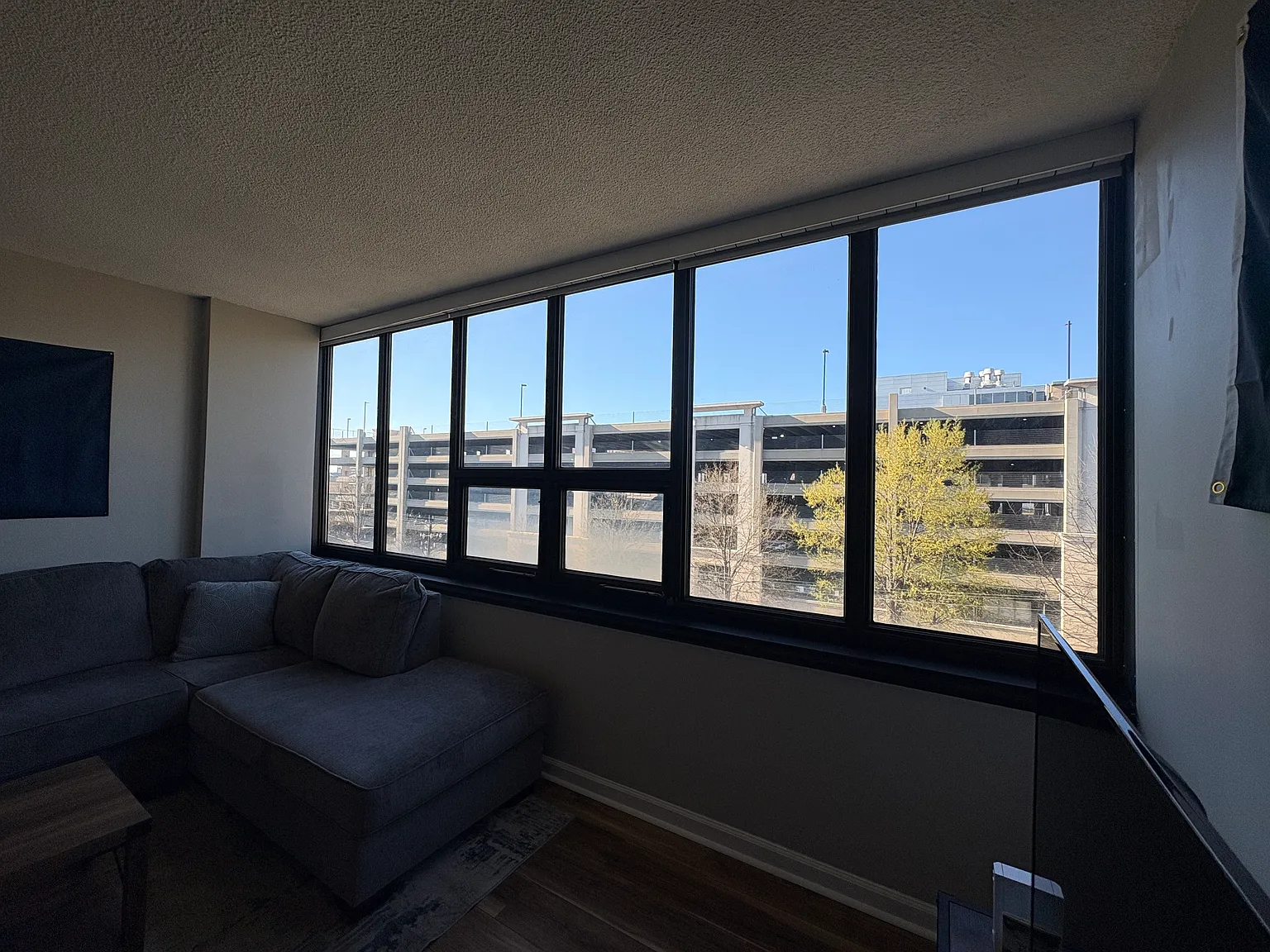 1 bed, 580 sqft, $1,700 — Photo 2